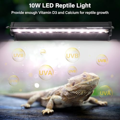 UVB Lighting Kit for Reptile Tanks (10W Fixture)