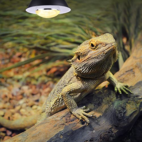 2-Pack 100W UVB/UVA Reptile Heat & Basking Light for Bearded Dragons
