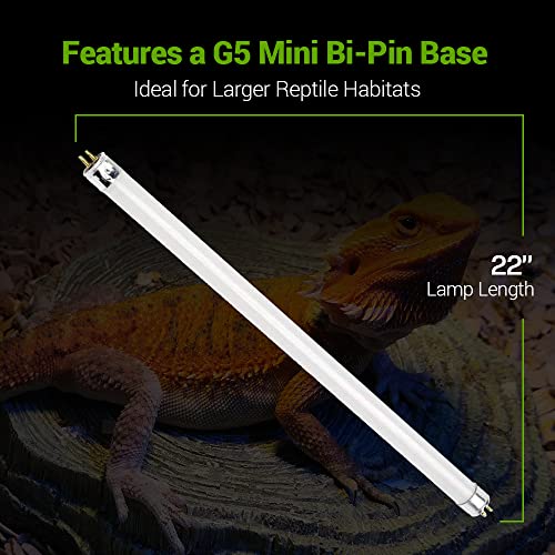 24W T5 HO Reptile Light - 2 Pack UVA UVB for Bearded Dragons